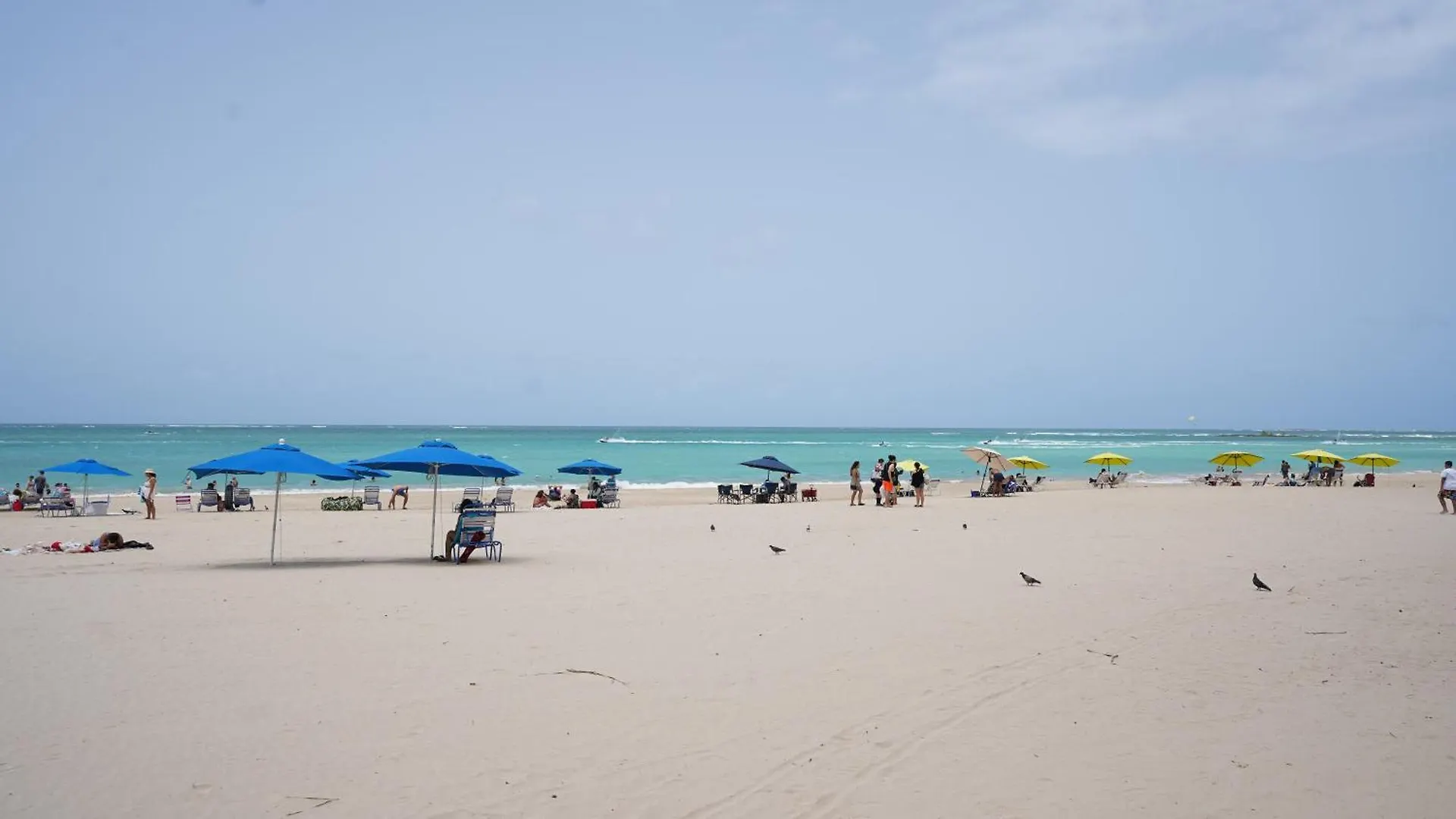 Ocean Front Coral Luxury Apartment 산후안